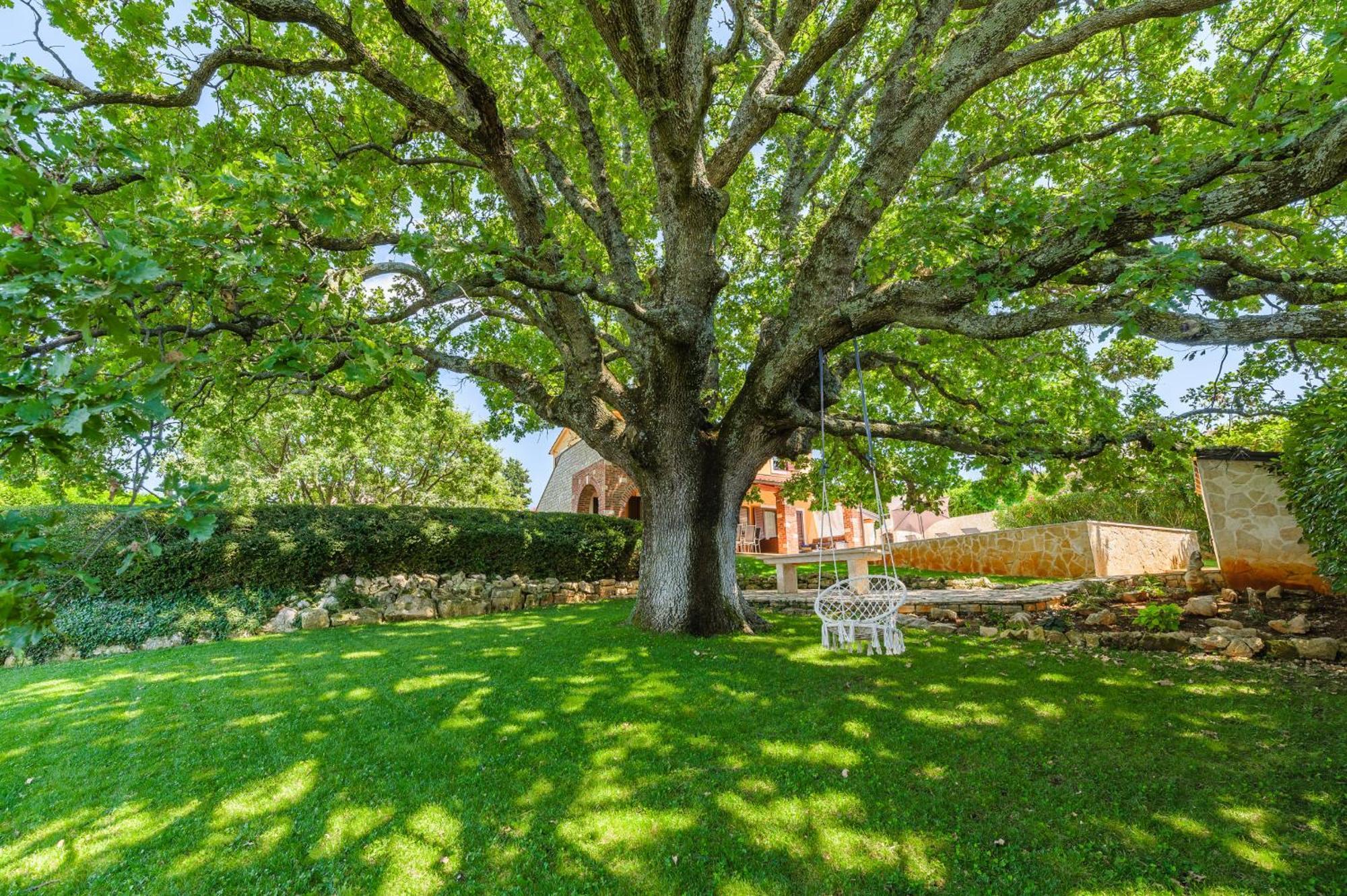 Villa Hrast Bacva Višnjan Exterior foto
