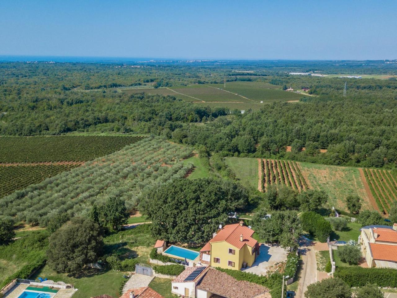 Villa Hrast Bacva Višnjan Exterior foto